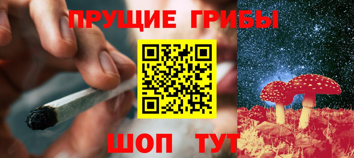 Галлюциногенные грибы GOLDEN TEACHER  Вход с VPN  Всеволожск 