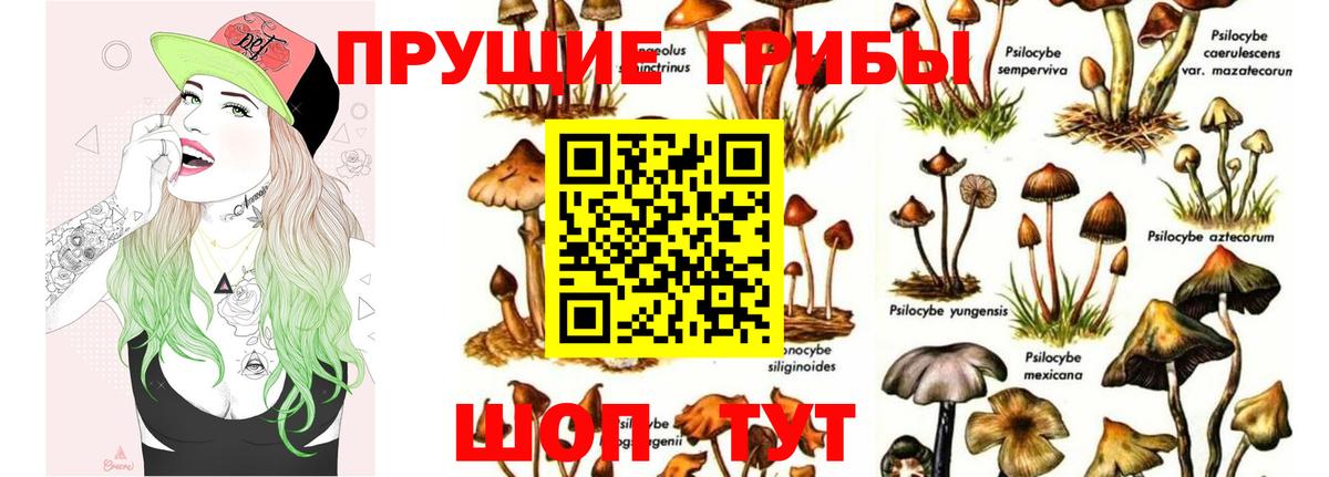 Псилоцибиновые грибы Magic Shrooms Всеволожск